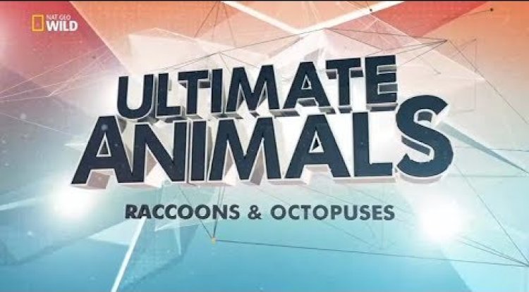 Denizlerin Yuttuğu Dev Şehirler